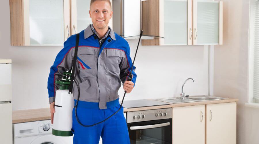 Professional pest control services in Medical Lake